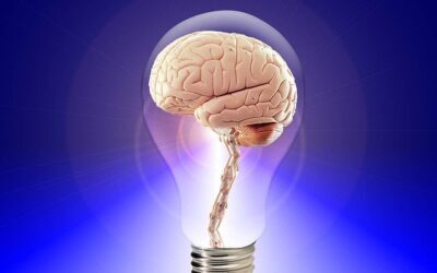 Co-Creation Blog : 7 Simple Ways to Continue Learning as an Adult