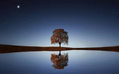 COVID to CLARITY