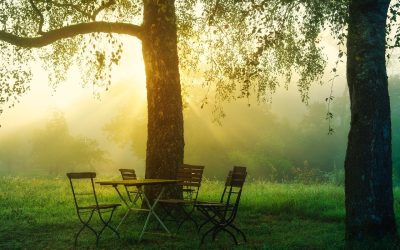 Exploring What It Means to have a Thriving Wellbeing Culture (and What it is not)